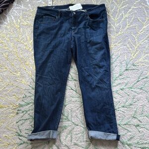 Ann Taylor modern fit stretch denim 14 NWT